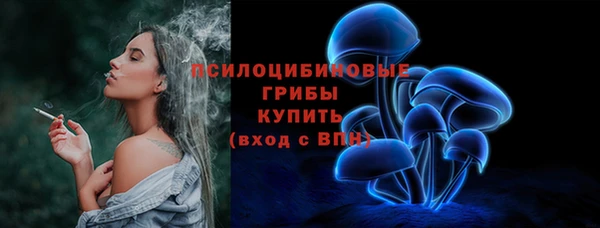 тгк Богородск