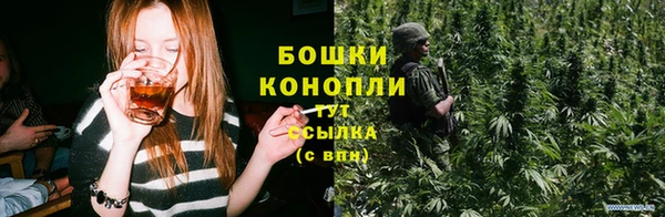 ГАЛЛЮЦИНОГЕННЫЕ ГРИБЫ Верхний Тагил