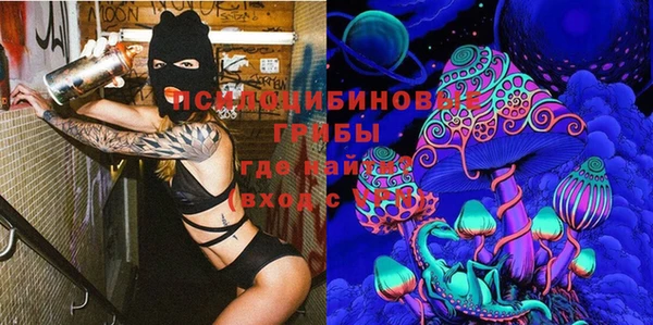 ешки Богородицк